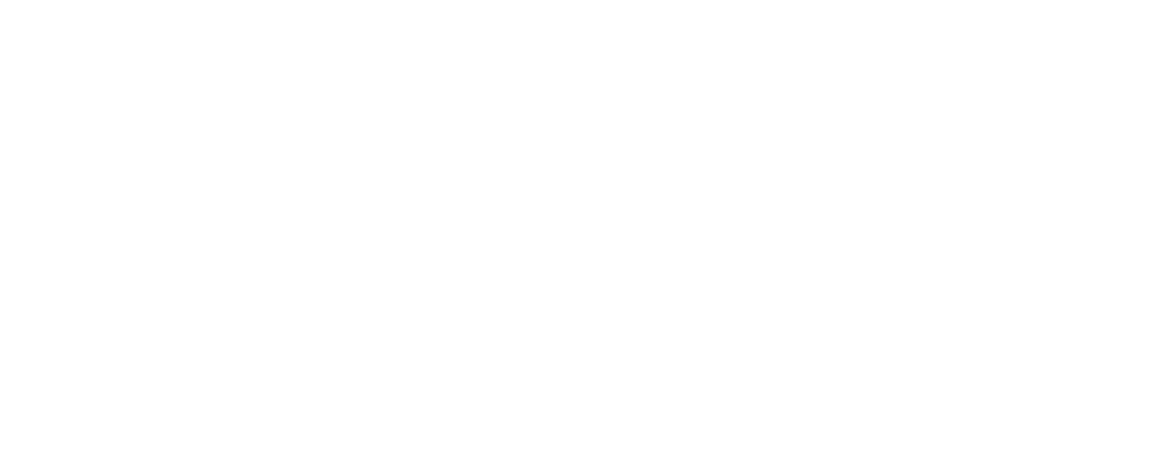 SpiderBlink wordmark in patterned white lettering.